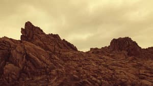 Last Flamingo of the Red Summer Sunset — foto 7