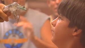 Episodio 5