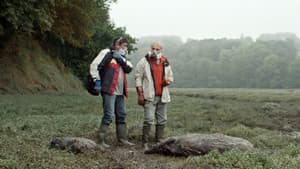 Les Algues vertes — foto 6