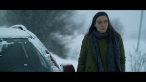 Kar ve Ayı — foto 6