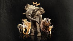Reinas del mundo animal — foto 1