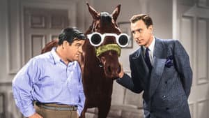 Abbott y Costello: Dos peatones a caballo — foto 1