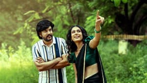షష్టిపూర్తి — foto 4
