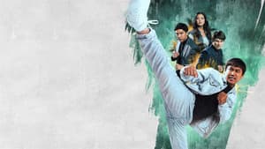 Agente de Kung Fu — foto 1