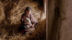Mama Irene, Healer of the Andes — foto 1