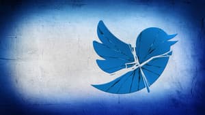 Twitter: Breaking the Bird — foto 4