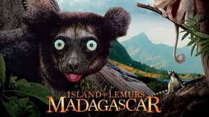 Isla de Lemurs — foto 1