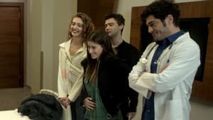 Episodio 29