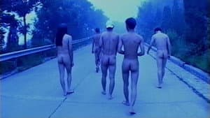 雾语 — foto 1