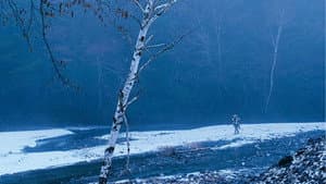 リング・ワンダリング — foto 2