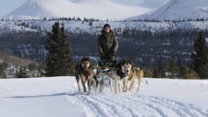 Snow Dogs — foto 1