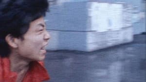 男の花道 — foto 1