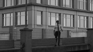 Two Forty-Six — foto 2
