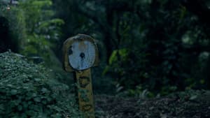 Silêncio das Asas — foto 9