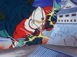 Episodio 29