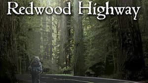 Redwood Highway — foto 1