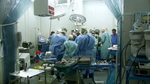 Frontline Medicine — foto 2