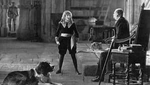 Little Lord Fauntleroy — foto 8