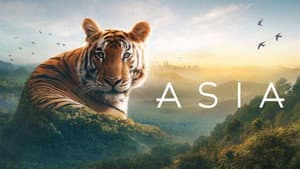 Asia — foto 4