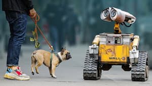 Pixar en la vida real — foto 7