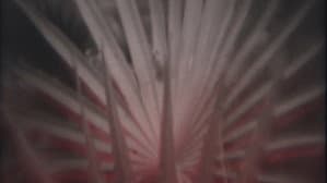 Nowhere Fast — foto 1