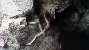 Metamorfosi — foto 1