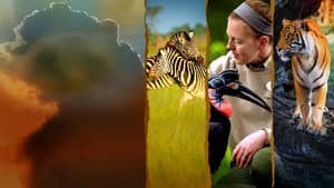 La Magia de Animal Kingdom de Disney — foto 2