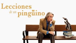 Lecciones de un pingüino — foto 10