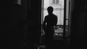 Jimmy — foto 4