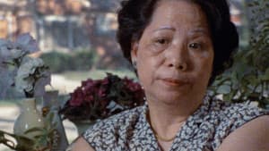 Who Killed Vincent Chin? — foto 1