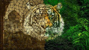 Tigerland — foto 3