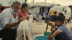 Ciudad sin sueño — foto 1