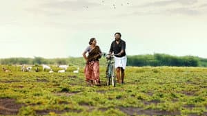 காரி — foto 2