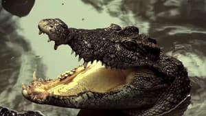 Extinction — foto 2