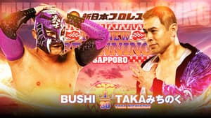 NJPW The New Beginning In Sapporo 2024 - Day 2 — foto 8