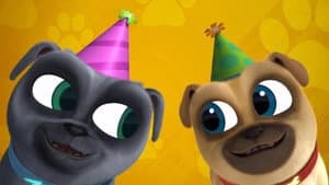 Bingo & Rolly's Birthday