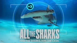 All the Sharks — foto 1