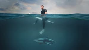 Playa de tiburones con Chris Hemsworth — foto 1