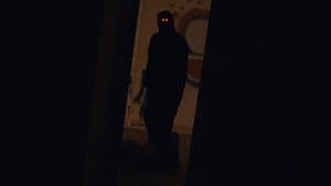 The Silhouette — foto 12