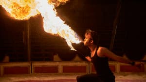 Vilken jävla cirkus — foto 4