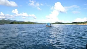 他們的海 — foto 1