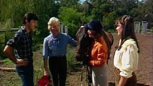 Episodio 77