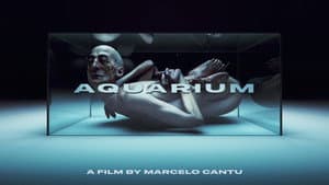 Aquarium — foto 2