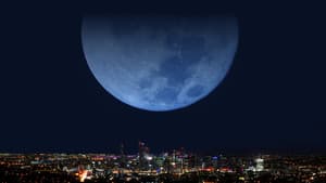 Night — foto 2