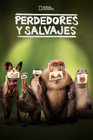 Temporada 1