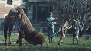 Luna e l'altra — foto 2