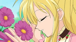 ¿Es Mitsuki una experta en amor?