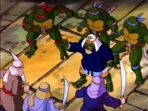 Miguel Ángel, la tortuga sagrada
