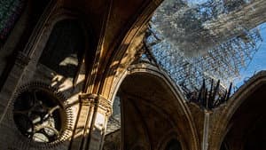 Saving Notre Dame — foto 4