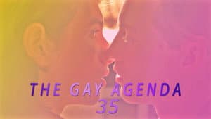 The Gay Agenda 35 — foto 1